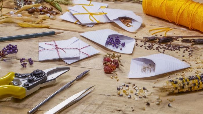 saving seeds from your garden for next year planting