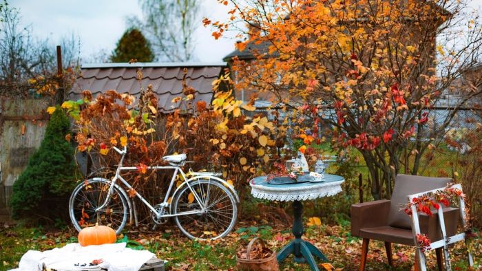 why fall is the best time for planting your garden